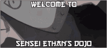 Sensei Ethans Dojo Discord GIF - Sensei Ethans Dojo Discord Ethan GIFs