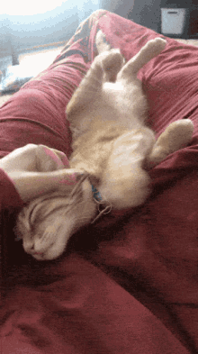 Happy Place Scratch GIF - Happy Place Happy Scratch GIFs