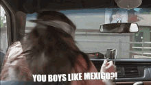 you boys like mexico super troopers mad