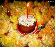 happy birthday celebration cake candle