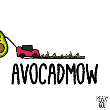 avocado 2d