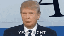 Duh Yeah Right GIF - Duh Yeah Right Donald Trump GIFs