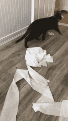 Toilet Paper Ran GIF - Toilet Paper Ran Black Cat GIFs
