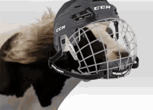 Hockey Cow GIF - Hockey Cow GIFs