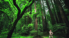 Curupira A Lenda Floresta Cabelo Vermelho Criatura GIF - Forest Legend Curupira GIFs