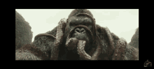 Hungry King Kong GIF - Hungry King Kong Squid GIFs