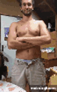 Pec Chest Sile GIF - Pec Chest Sile Dad Bod GIFs