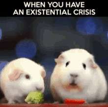 Existential Crisis GIF - Existential Crisis GIFs
