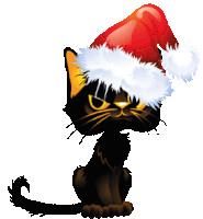 Boldog Karácsonyt Grumpy Sticker - Boldog Karácsonyt Grumpy Cat Stickers