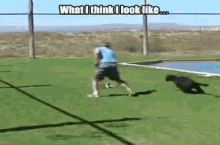 Athleticism GIF - Cat Atheletic Panther GIFs