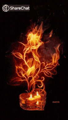 गुलाब आग GIF - गुलाब आग दिल GIFs