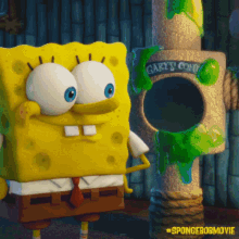 sponge no