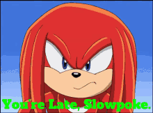 Sonic X Knuckles GIF - Sonic X Knuckles Youre Late Slowpoke GIFs