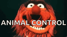 animal muppets scary laughing animal control