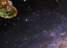 Taco In Space GIF - Mexican Food Dog Flying Taco GIFs