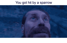 Sar Moment Sar Sparrow GIF - Sar Moment Sar Sparrow You Got Hit By A Sparrow GIFs