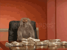 Money Monkey GIF - Money Monkey Cash GIFs