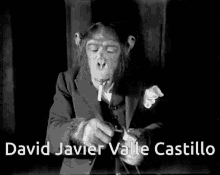 chad weird convos monkey gog david javier valle castillo