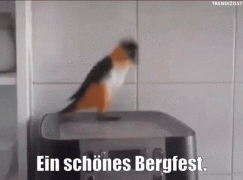 Bergfest Mittwoch GIF - Bergfest Mittwoch Mittwochenende - Discover &amp; Share  GIFs