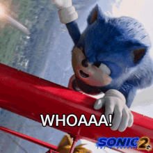 Whoaaa Sonic GIF - Whoaaa Sonic Tails GIFs