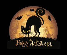 Осенние котики Happy-halloween-black-cat