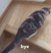 Cat Bye GIF - Cat Bye Running GIFs