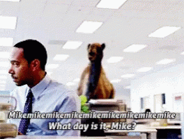Mike Mike Mike Hump Day GIF.