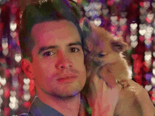 puppy bredon urie beebo patd panic at the disco
