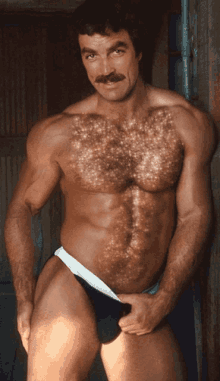 Hairy Chest GIF - Hairy Chest Man GIFs