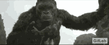 King Kong Kong Skull Island GIF - King Kong Kong Skull Island Skullcrawler GIFs