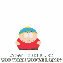 what the hell do you think youre doing cartman south park excuse me what are you doing