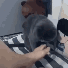 Cat Smelling Owner Feet Puke Face Stinky Feet GIF - Cat Smelling Owner Feet Puke Face Stinky Feet Smelly Feet GIFs