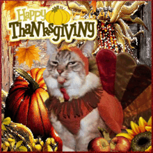 Vegan Thanksgiving GIF - Vegan Thanksgiving Cats GIFs