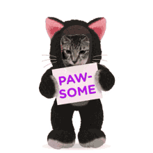 Pawsome Oreo Cat GIF - Pawsome Oreo Cat Awesome GIFs