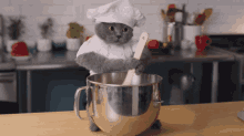 Chefcat Cat Chef GIF - Chefcat Cat Chef Cat Kitchen GIFs