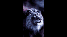 Lion King Of The Jungle GIF - Lion King Of The Jungle Black Stuff GIFs