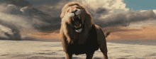 Roar Lion GIF - Roar Lion Rawr GIFs
