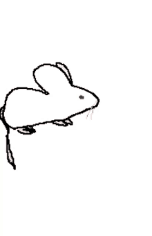 mouse white