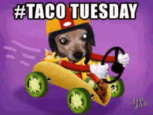 Taco Tuesday Happy GIF - Taco Tuesday Happy Tacos GIFs