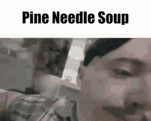 Pine Soups GIF - Pine Soups Pine Needle Soup GIFs