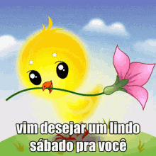 sabado-passarinho.gif