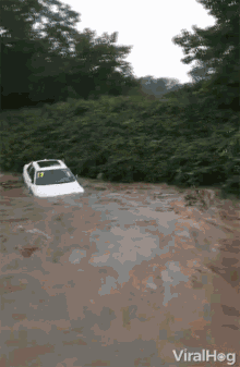 Flood Gushing GIF - Flood Gushing Car GIFs