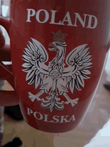 Polan Polska GIF - Polan Polska Cup GIFs