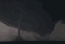 tornado twister