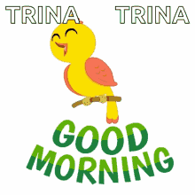 good morning wake up bird humming trina
