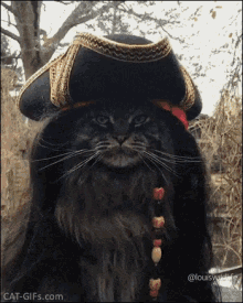 Cat Jack Sparrow GIF - Cat Jack Sparrow GIFs