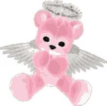 angel bear pink bear halo angel wings