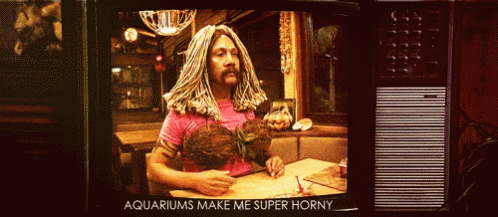 50first Dates Rob Schneider Gif 50first Dates Rob Schneider Aquariums Make Me Super Horny Discover Share Gifs