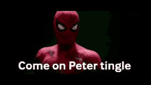 Come On Peter Tingle Spider Man GIF - Come On Peter Tingle Spider Man Far From Home GIFs