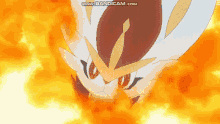 Cinderace Pokémon Cinderace GIF - Cinderace Pokémon Cinderace Blaze Kick GIFs